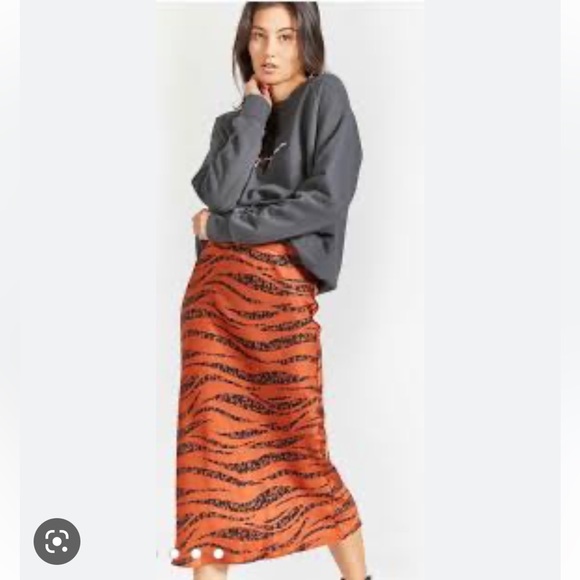 Anine Bing Silk Zebra Print Skirt - Picture 1 of 5